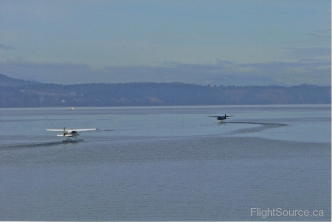 Beavers leaving Pat Bay