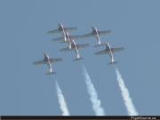 Snowbirds