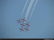 Snowbirds