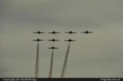 Snowbirds 02060014