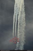 Snowbirds 02060016