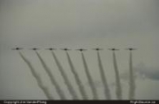 Snowbirds 02070019