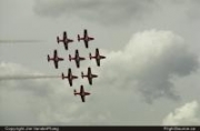 Snowbirds 02080008