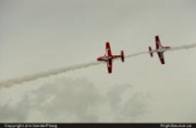 Snowbirds 02080011