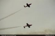 Snowbirds 02080021